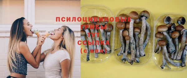 ГАЛЛЮЦИНОГЕННЫЕ ГРИБЫ Нефтегорск