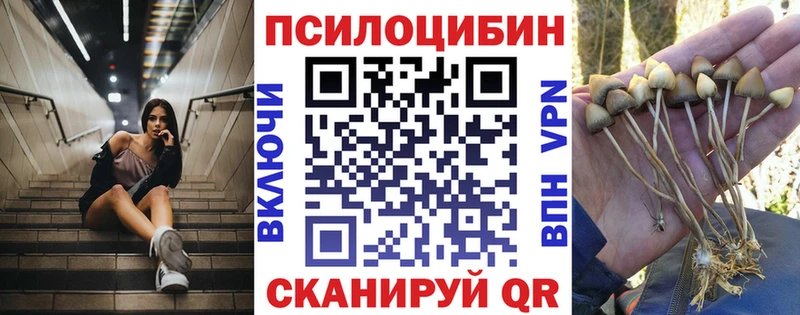 маркетплейс Telegram  Сортавала  Псилоцибиновые грибы прущие грибы 